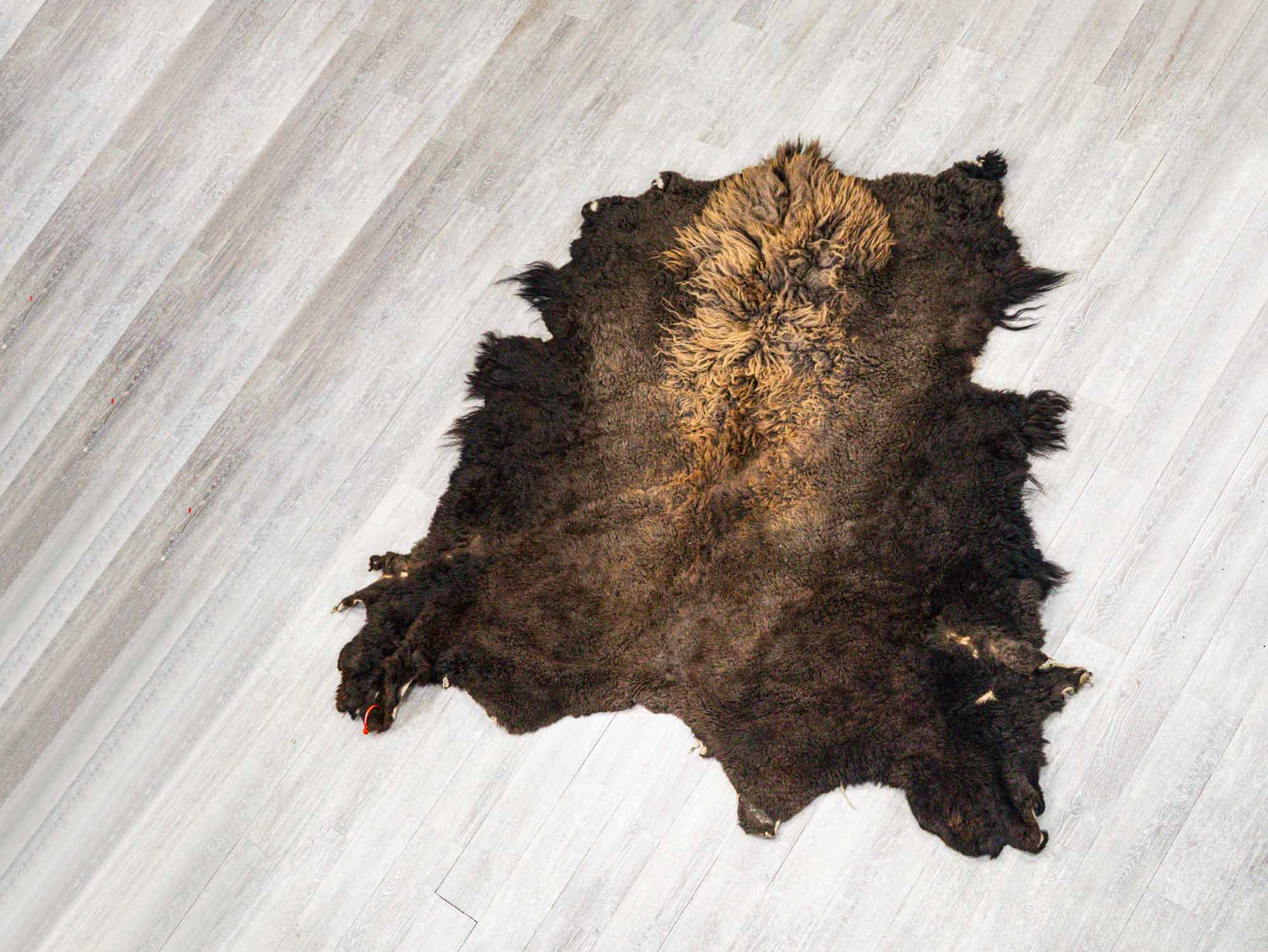 Buffalo discount hide blanket