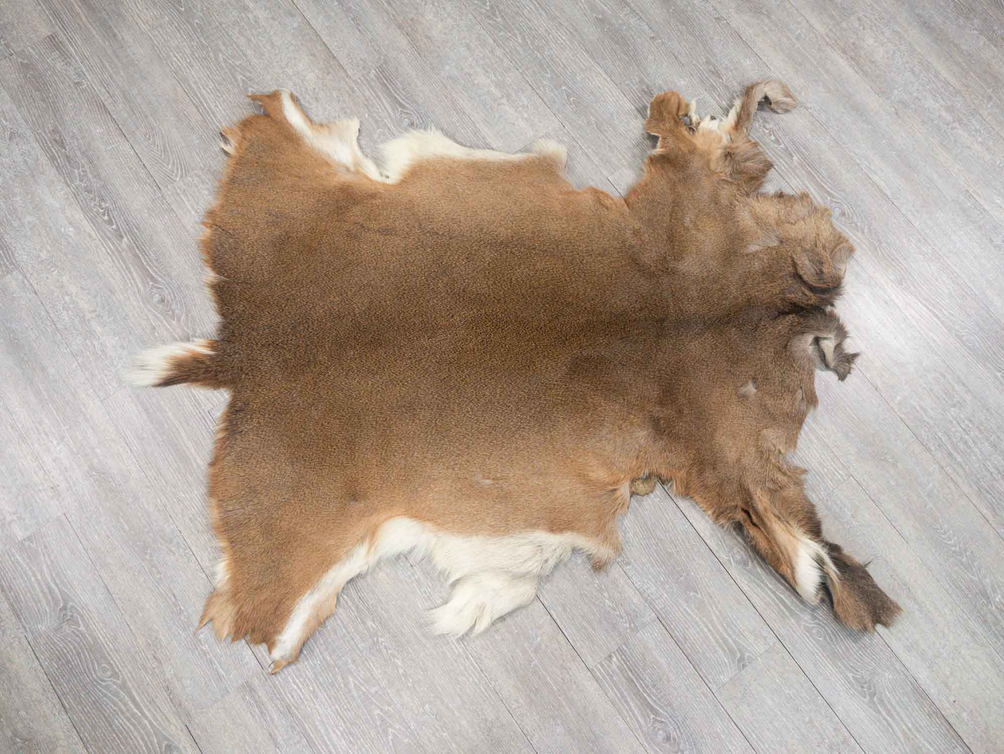 Deer hide deals